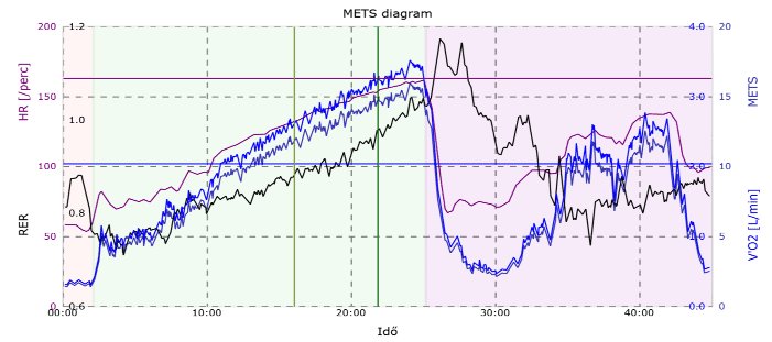 Spiroergometria METS diagram – energiafelhasználás és anyagcsere-egyenérték terhelés során, Alba Diagnosztika